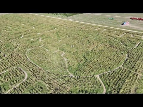 Dewberry Farm corn maze is an Astros logo!