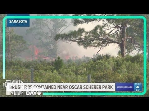 Crews contain 9-acre brush fire in Sarasota park caused by lightning strike