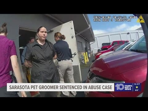 Sarasota dog groomer sentenced after being charged with aggravated animal abuse, cruelty