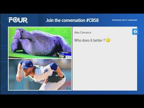 Goose steals the show at Padres vs Dodgers Game 2