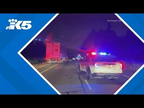 Intoxicated wrong-way driver with infant passenger kills 2 on SR 512, WSP says