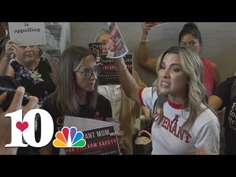 UT-Knoxville's new Institute of American Civics aiming to fight political polarization