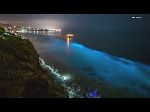 Why does the ocean glow blue? | Bioluminescence in San Diego