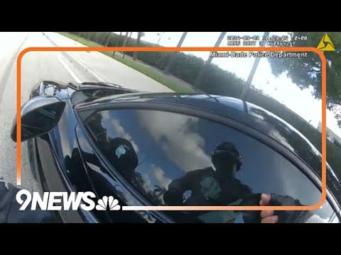 Body Camera: Tyreek Hill Pulled from Vehicle, Detained During Traffic Stop