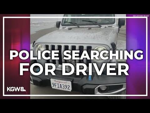 Driver runs down dozens of seagulls with his Jeep near Long Beach