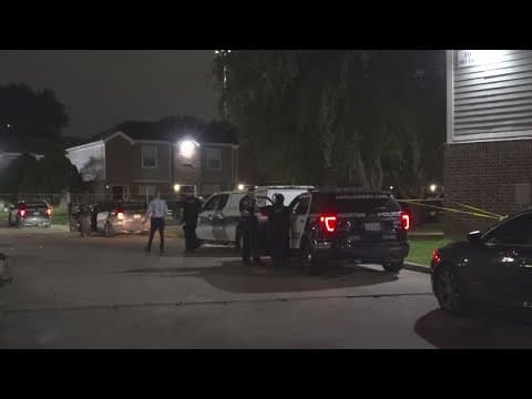 HPD: Pizza delivery driver shoots man to death during robbery attempt