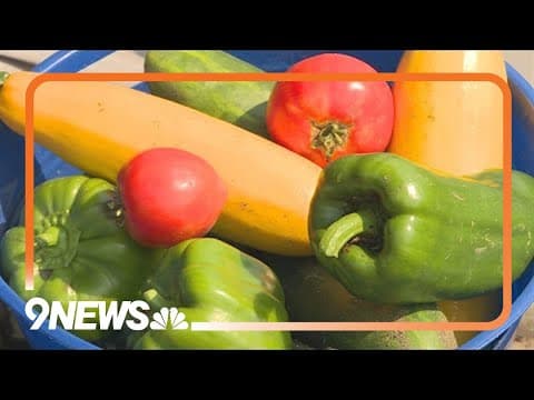 Tips and tricks for successful vegetable gardening