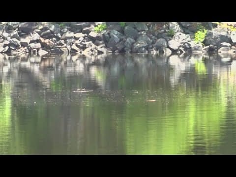 Sorority faces charges after student's death at Dartmouth College in New Hampshire