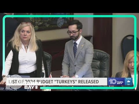 Tax watchdog: Some projects in state budget are 'turkeys' and will serve limited areas