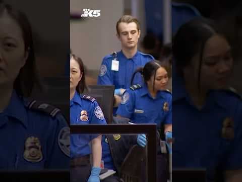 Suspect snuck onto Delta flight at SEA Airport, then was arrested