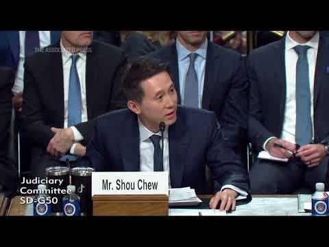 TikTok has sued the US over a law that could ban its app. What's the legal outlook?