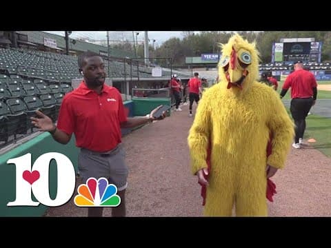Fun at Smokies Stadium
