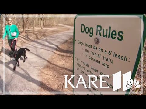 Minnetonka Park Board recommends designated areas for off-leash dogs