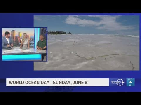 USF professor discusses efforts to protecting our oceans