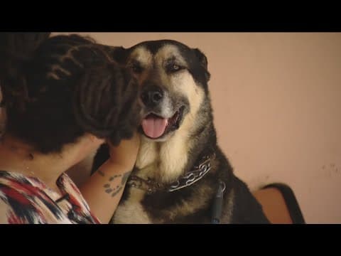 San Diego shelters urged to allow pets for homeless families