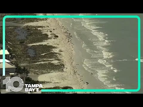 Aerial views of Clearwater Beach, Dunedin and Tarpon Springs after Hurricane Idalia