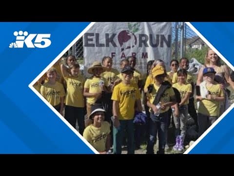 Maple Valley's Elk Run Farm turns 10 with goals to keep stocking local food banks