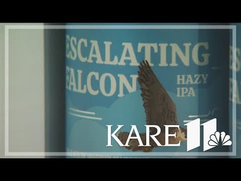 'Escalating Falcon' beer to raise money for the Raptor Center
