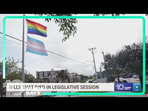 Bills that died during Florida's 2024 legislative session