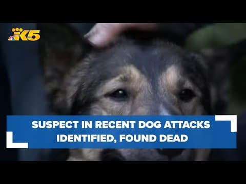Suspect in recent dog attacks identified, found dead