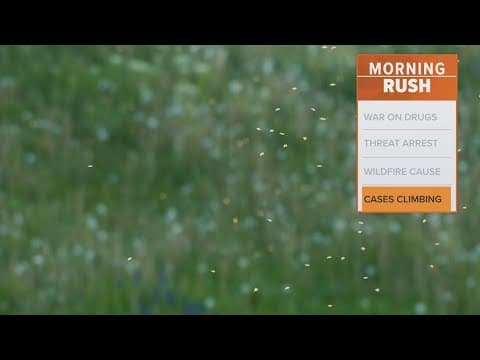 2 people contract West Nile Virus in Dallas