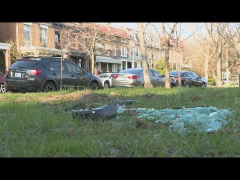 Doorbell camera footage shows driver hit speed bumps before crashing in a park in Petworth