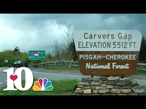 One Tank Trips: Roaming Roan Mountain