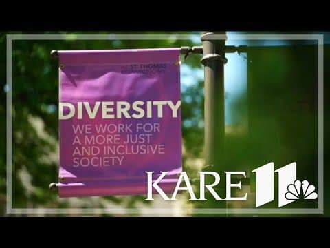 DEI was seen as a light in the darkness of George Floyd's murder; now it’s in the shadows