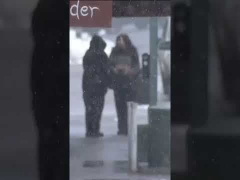 Heavy snow covers San Diego County mountains #snow #news #weather