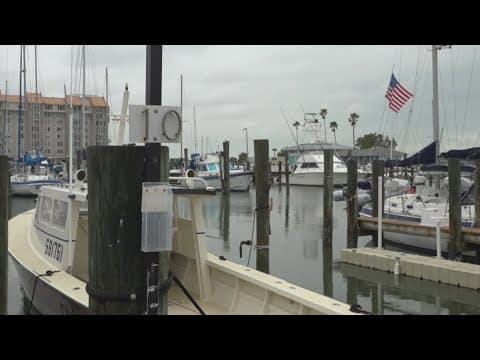 Dunedin leaders discussing what to do with aging marina destroyed from back-to-back storms