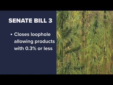 Texas Legislature winding down: What bills are at stake?