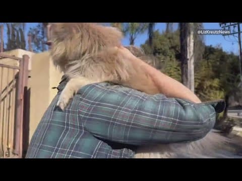 Man reunited with his dog after being separated during the wildfires