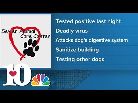 Dog positive for parvo at Sevier clinic