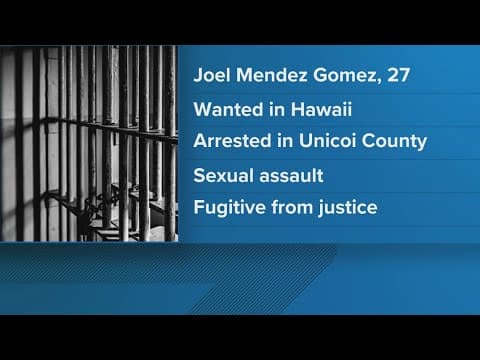 Suspect wanted for child sex crimes in Hawaii arrested in East Tennessee