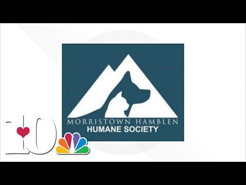 Morristown Hamblen Human Society closes shelter due to parvo