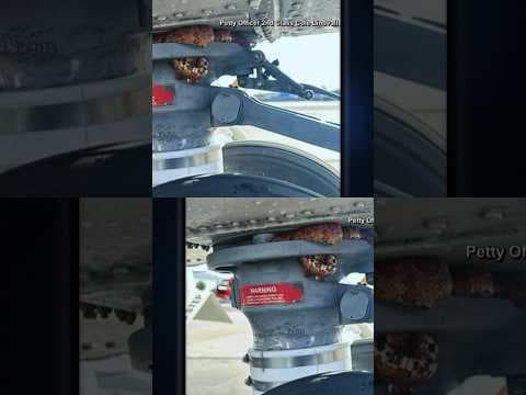 Coast Guard Finds 'Unexpected Stowaway' Snake Wrapped Around Helicopter Wheel in Florida