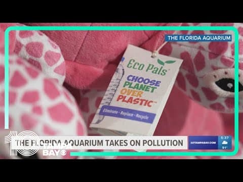 Florida Aquarium taking on month-long "eco-challenge"