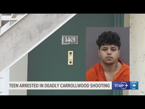 Deputies: Man charged with murder after deadly shooting at Tampa apartment complex