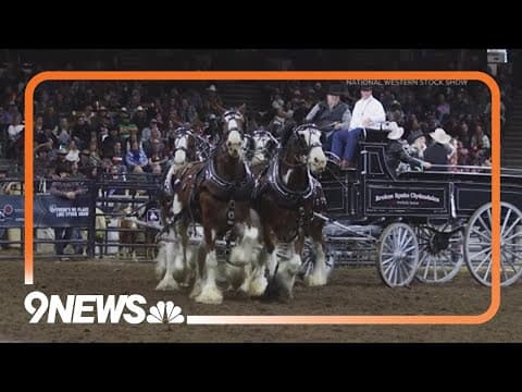 This is why people in Denver keep up their Christmas lights in January