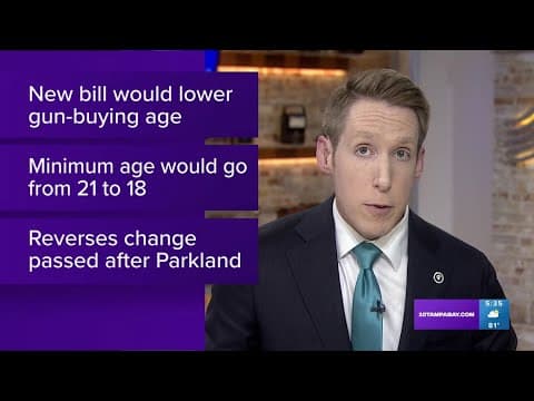 Florida Republicans file bill to lower gun-buying age from 21 to 18