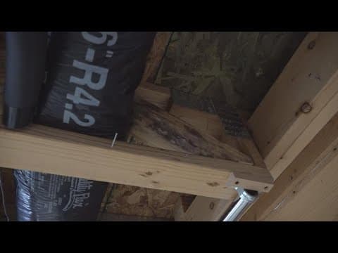 Mold discovery turns Lewis Center couple's dream home into a health nightmare