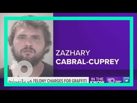 Officials: Florida man graffitied areas along US 19 corridor