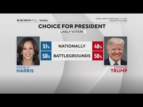 2024 Democratic National Convention | Who is voting and what issues are important