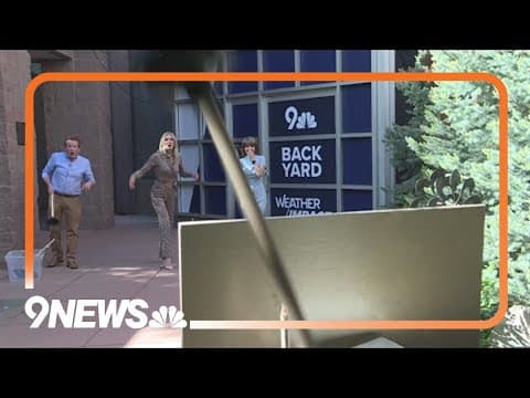 Summer of fun: Playing with plungers and exploring air pressure