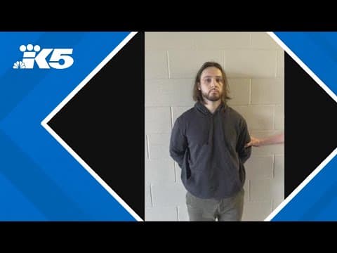 Suspect in Palisades Fire arrested