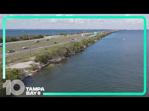 Concerns grow about Tampa Bay's water quality after storms, red tide and a looming political shift