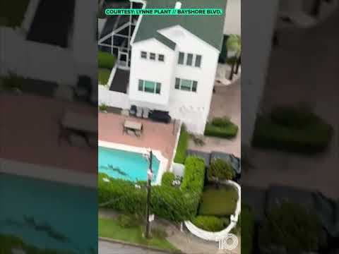 Bayshore Boulevard in Tampa during Hurricane Helene #shorts