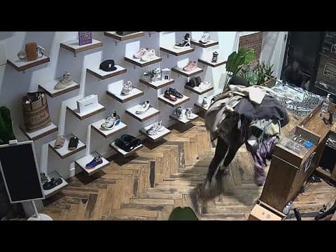 DC 'bolstering' police presence at retail corridors this holiday season