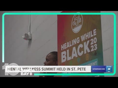 Mental health summit held in St. Pete amid Minority Mental Health Awareness Month
