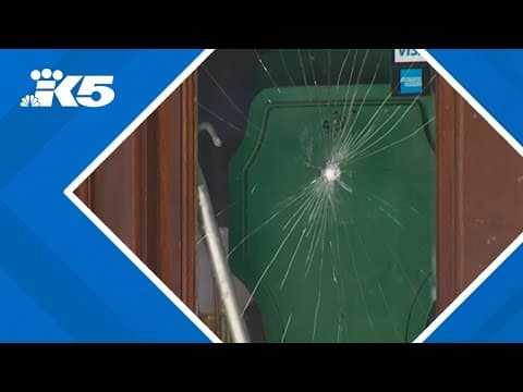 Tacoma's Antique Row businesses vandalized, owners facing thousands of dollars in repairs